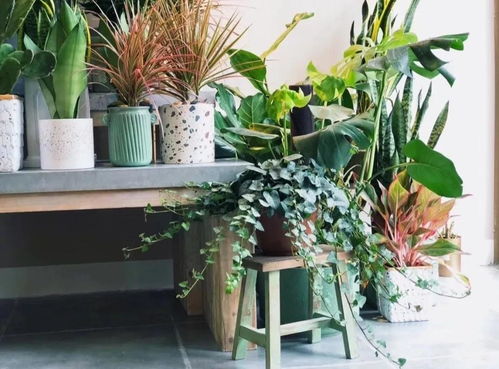 與花相伴 合肥精品花店指南，寒冬尋覓春天