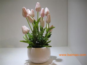 從安雅花卉看仿真花與工藝品市場(chǎng)的融合發(fā)展